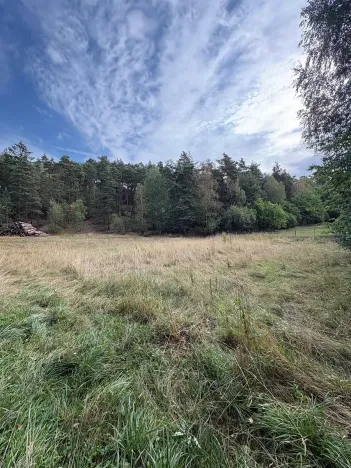 Prodej pozemku pro bydlení, Vlčatín, 56720 m2