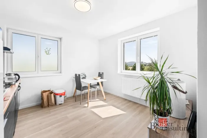 Prodej bytu 2+kk, Břasy, 47 m2