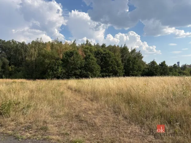 Prodej komerčního pozemku, Plzeň - Černice, Písecká, 4386 m2
