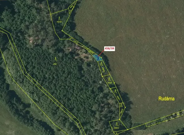 Dražba lesa, Břežany, 50 m2