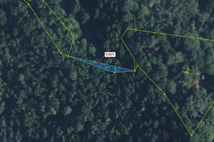 Dražba lesa, Malé Březno, 169 m2