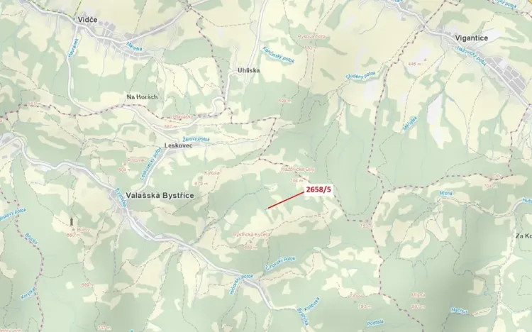 Dražba pozemku, Valašská Bystřice, 216 m2