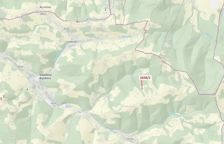 Dražba louky, Valašská Bystřice, 465 m2
