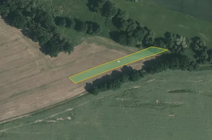 Prodej pole, Přehořov, 13100 m2