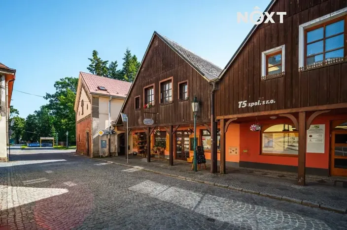 Prodej ubytování, Vrchlabí, Zámecká, 300 m2