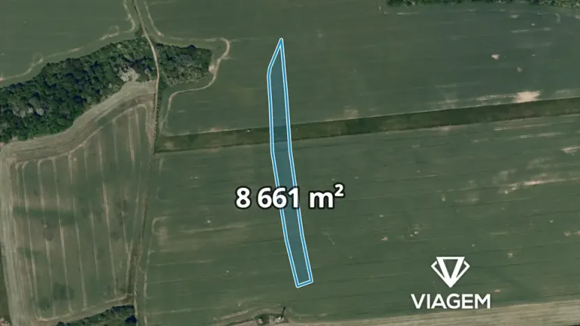 Prodej podílu pole, Osvětimany, 1443 m2