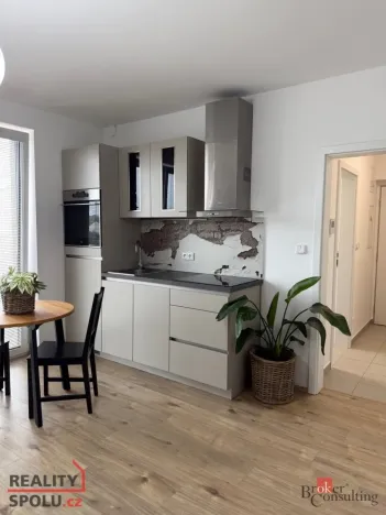 Pronájem bytu 1+kk, Plzeň - Újezd, Diamantová, 30 m2
