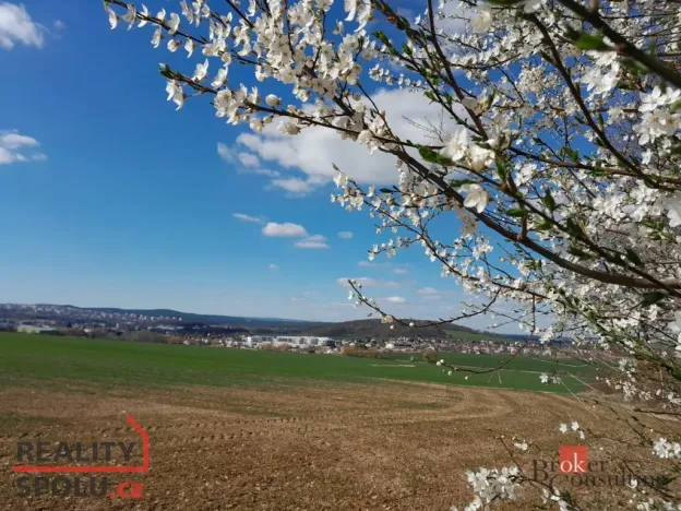 Pronájem bytu 1+kk, Plzeň - Újezd, Diamantová, 30 m2