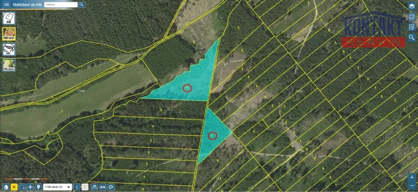 Prodej lesa, Jevíčko, 70821 m2