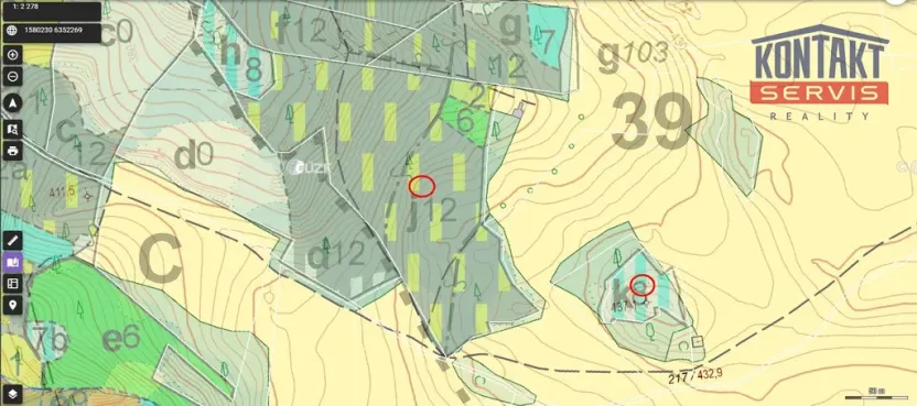 Prodej lesa, Jickovice, 32955 m2