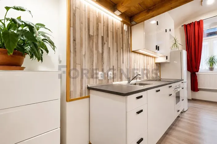 Pronájem bytu 1+kk, Praha - Žižkov, Jeronýmova, 32 m2