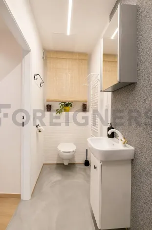 Pronájem bytu 1+kk, Praha - Žižkov, Jeronýmova, 32 m2