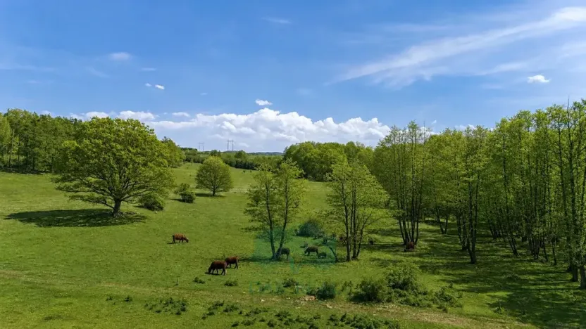 Prodej zemědělského objektu, Vrchotovy Janovice, 952 m2