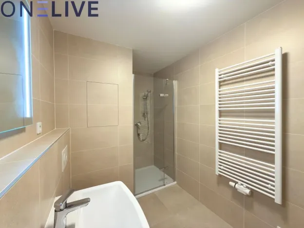Pronájem bytu 1+kk, Plzeň, Železná, 39 m2