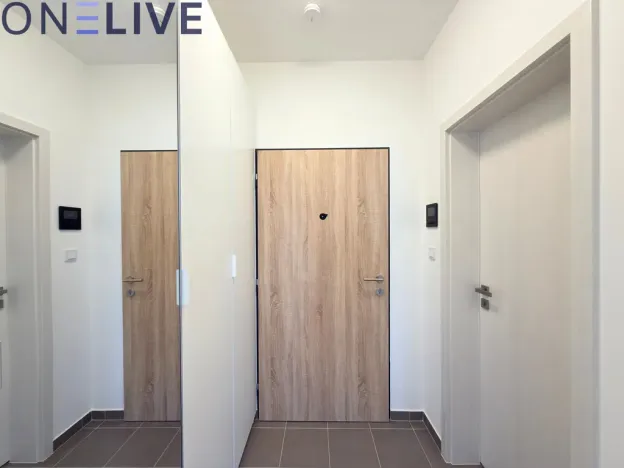 Pronájem bytu 1+kk, Plzeň, Železná, 39 m2