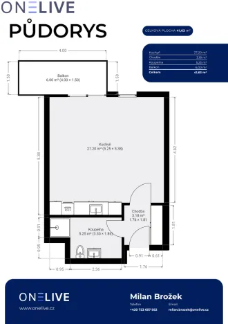 Pronájem bytu 1+kk, Plzeň, Železná, 39 m2