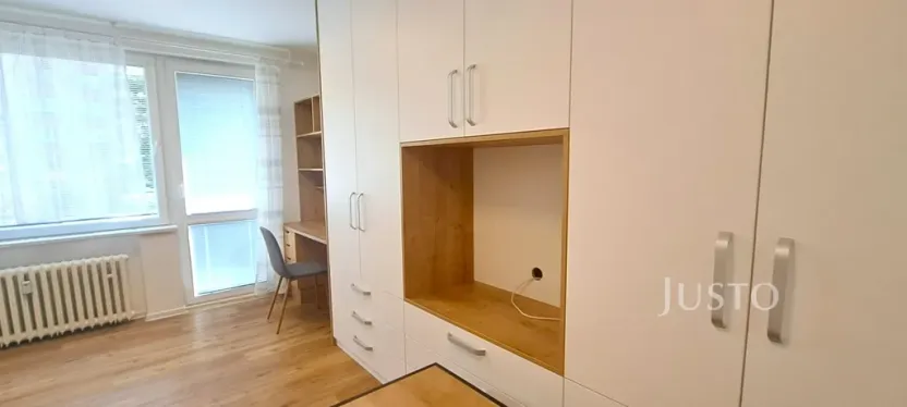 Pronájem bytu 1+1, Písek, 17. listopadu, 41 m2