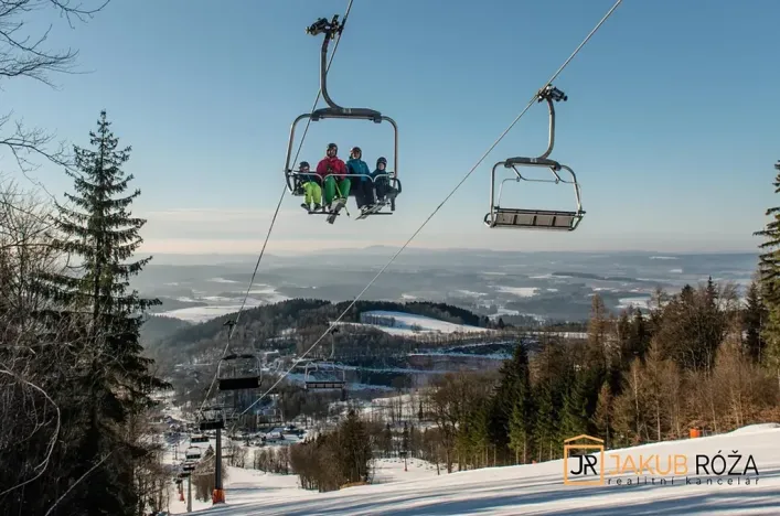 Prodej ubytování, Černý Důl, 377 m2
