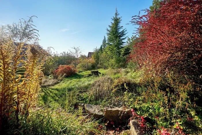 Prodej rodinného domu, Černé Voděrady, Zvánovická, 237 m2