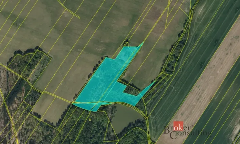 Prodej lesa, Pardubice - Pardubice-Staré Město, 37347 m2