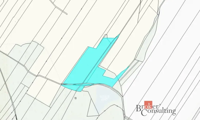 Prodej lesa, Pardubice - Pardubice-Staré Město, 37347 m2
