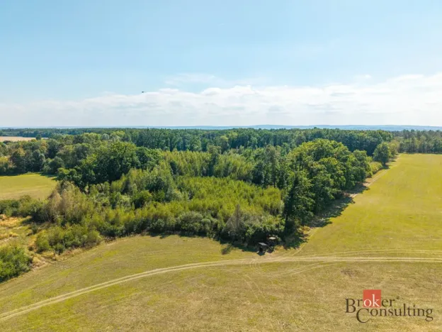 Prodej lesa, Pardubice - Pardubice-Staré Město, 37347 m2