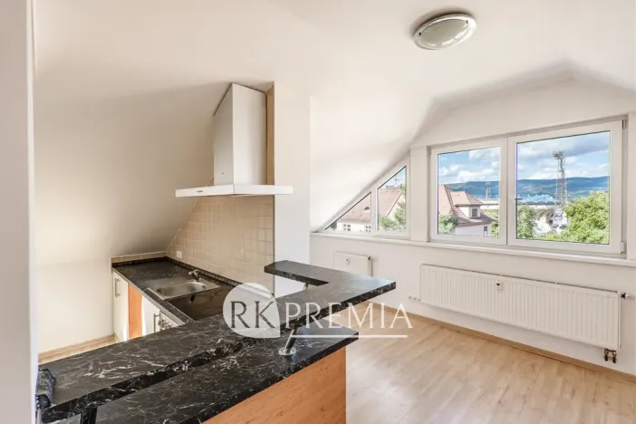 Pronájem bytu 3+1, Teplice, Kašparova, 116 m2