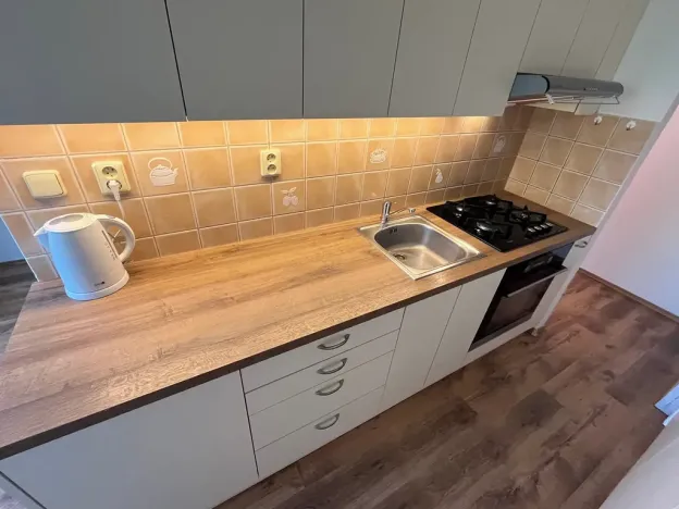 Pronájem bytu 1+1, Prostějov, Tylova, 40 m2