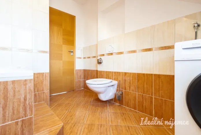 Pronájem bytu 2+1, Praha - Dejvice, Mydlářka, 55 m2