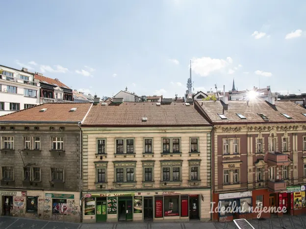 Pronájem bytu 1+1, Praha - Žižkov, Husitská, 35 m2
