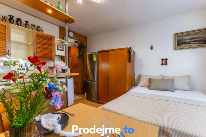 Prodej bytu 1+kk, Znojmo, Přímětická, 21 m2