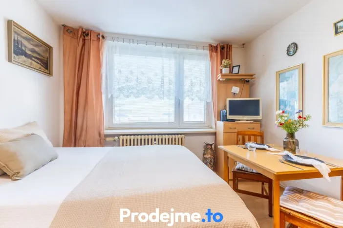 Prodej bytu 1+kk, Znojmo, Přímětická, 21 m2