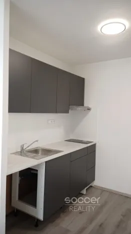 Pronájem bytu 1+kk, Brandýs nad Labem-Stará Boleslav - Brandýs nad Labem, Zahradnická, 34 m2