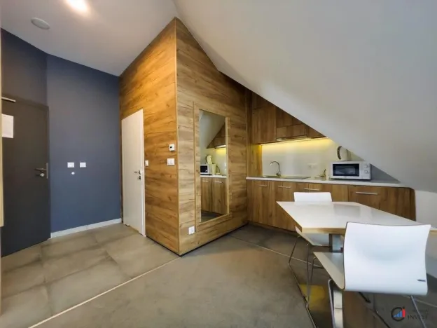 Prodej bytu 1+kk, Dolní Morava, 36 m2