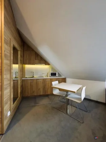 Prodej bytu 1+kk, Dolní Morava, 36 m2