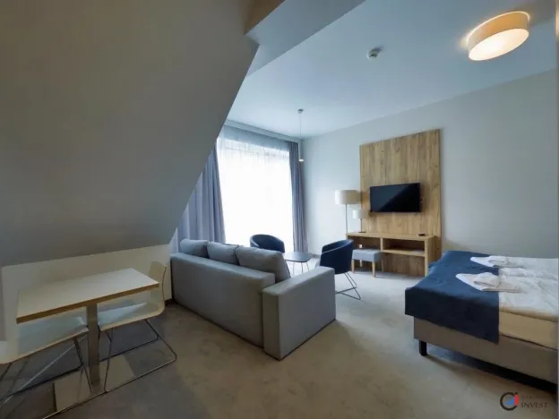 Prodej bytu 1+kk, Dolní Morava, 36 m2