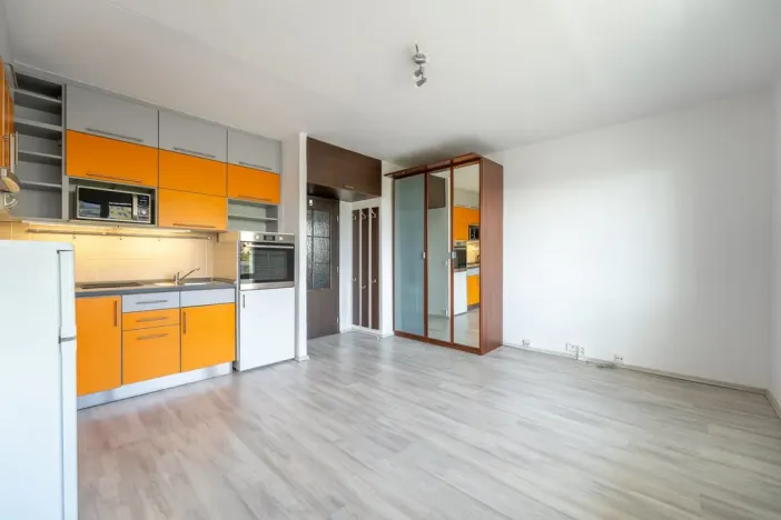 Pronájem bytu 1+kk, Brno, Okrouhlá, 30 m2
