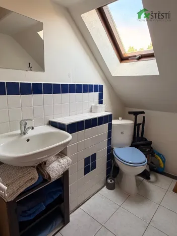Prodej rodinného domu, Staré Hobzí, 536 m2