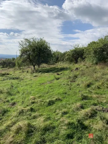 Prodej pozemku pro bydlení, Svojkov, 4351 m2