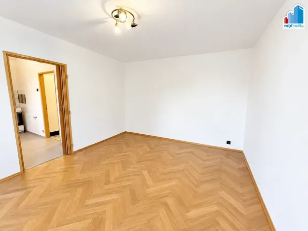 Prodej bytu 1+1, Plzeň, Partyzánská, 29 m2