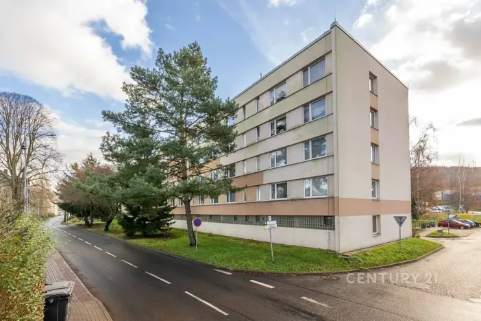 Pronájem bytu 1+1, Děčín, Růžová, 35 m2
