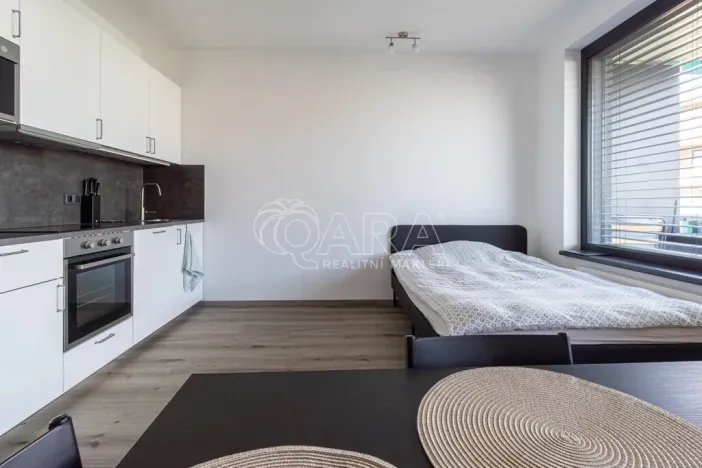 Pronájem bytu 1+kk, Praha - Žižkov, Olgy Havlové, 33 m2