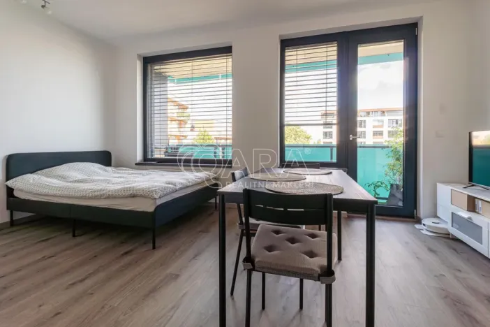 Pronájem bytu 1+kk, Praha - Žižkov, Olgy Havlové, 33 m2