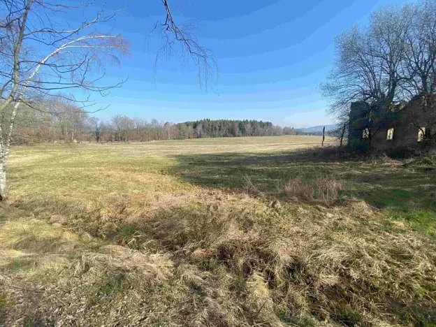 Dražba pozemku pro bydlení, Dolní Dvořiště, 11107 m2