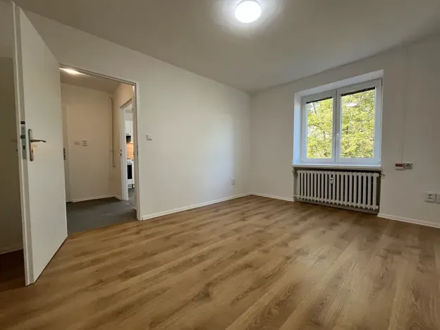 Pronájem bytu 1+1, Třinec, 17. listopadu, 28 m2