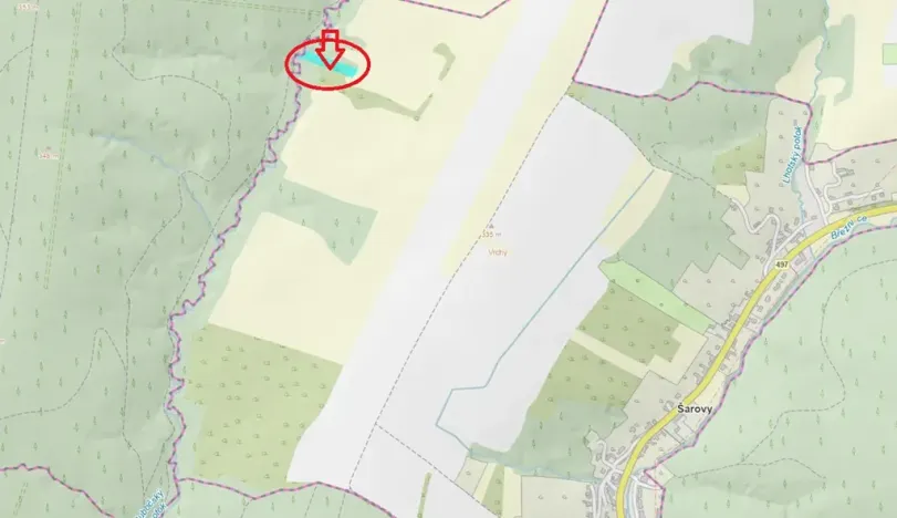 Prodej podílu lesa, Šarovy, 2437 m2