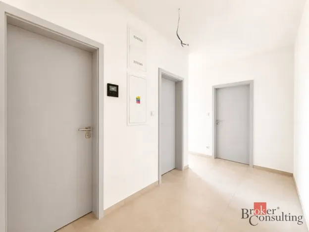 Prodej bytu 2+kk, Plzeň - Jižní Předměstí, Železná, 58 m2