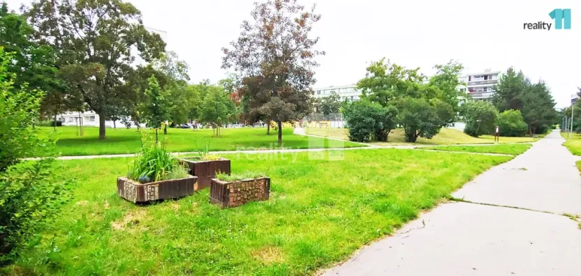 Pronájem bytu 2+kk, Praha - Karlín, Nekvasilova, 47 m2