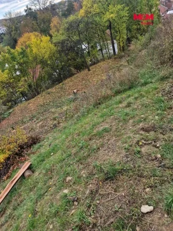 Prodej zahrady, Brno, Zlatníky, 592 m2