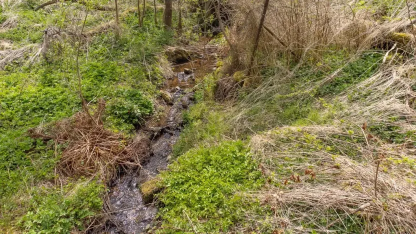 Prodej komerčního pozemku, Žihobce - Šimanov, 2800 m2